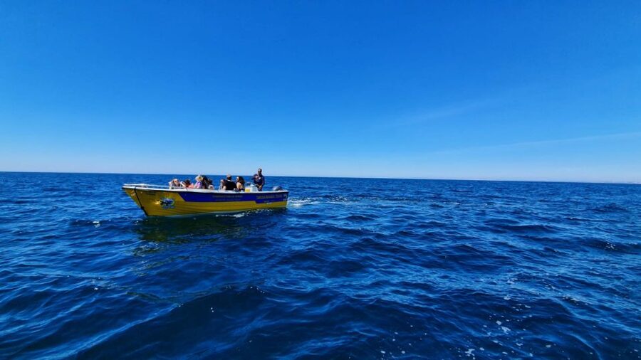 From Benagil: Benagil Cave & Marinha Beach Express Tour - Benagil Sea Cave, the famous stop and why timing matters