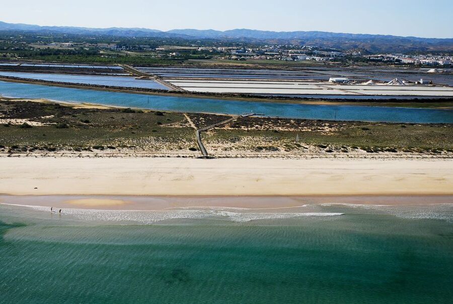 From Cabanas de Tavira: Octopus Route - Cuisine, Santa Luzia, and the octopus dish experience