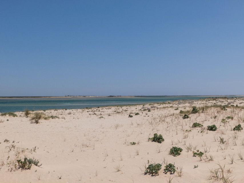 From Faro: 2-Hour Guided Bird Watching Boat Trip - Price and value, is $47 a fair deal?