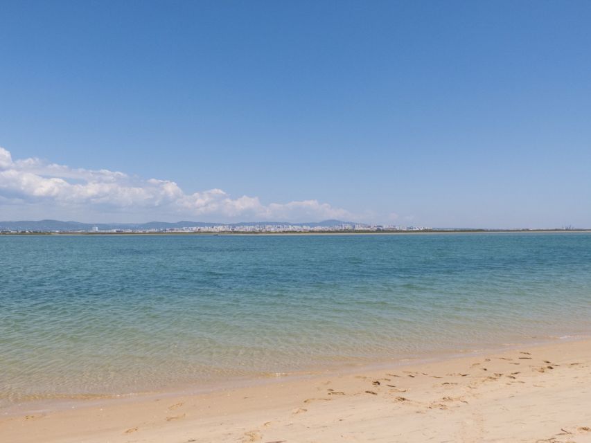 From Faro: 2-Hour Guided Bird Watching Boat Trip - Ria Formosa in 2 hours, what you are really paying for