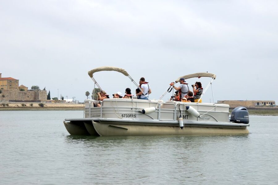 From Faro: 2-Hour Guided Bird Watching Boat Trip - Oyster and clam farms, where birds meet local livelihoods