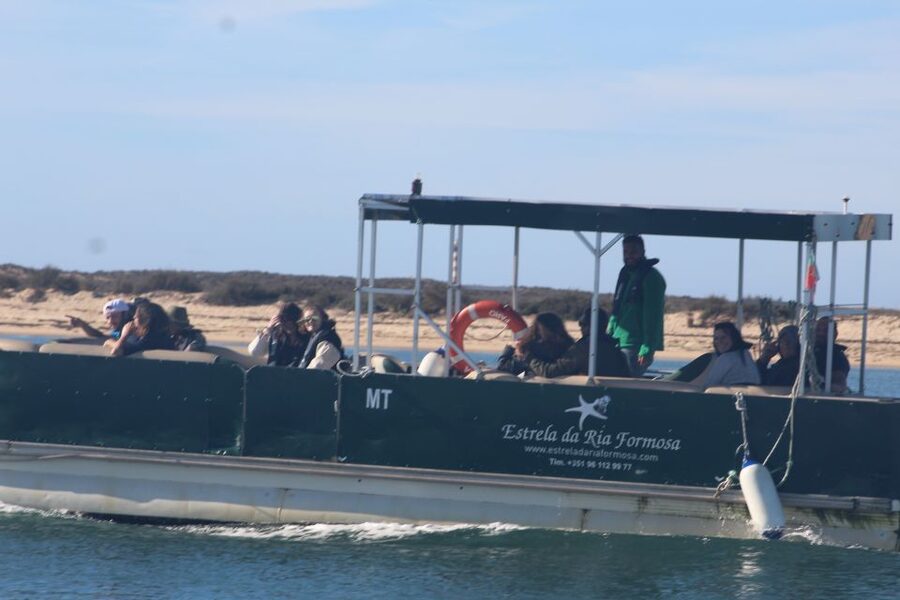 From Faro: 2-Island, 2-Stop Ria Formosa Catamaran Tour - Key things to know before you go