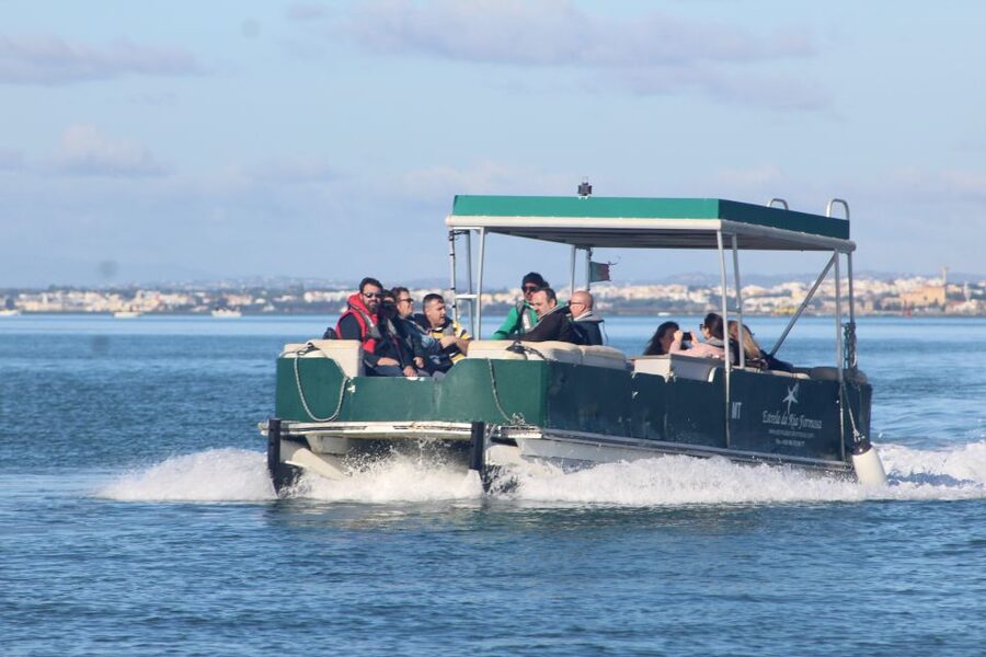 From Faro: 4 Stops, 3 Islands in Ria Formosa Catamaran Tour - Key things to know before you go