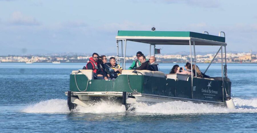From Faro: 4 Stops, 3 Islands in Ria Formosa Catamaran Tour - Parque Natural da Ria Formosa Channels and Seabird Watching