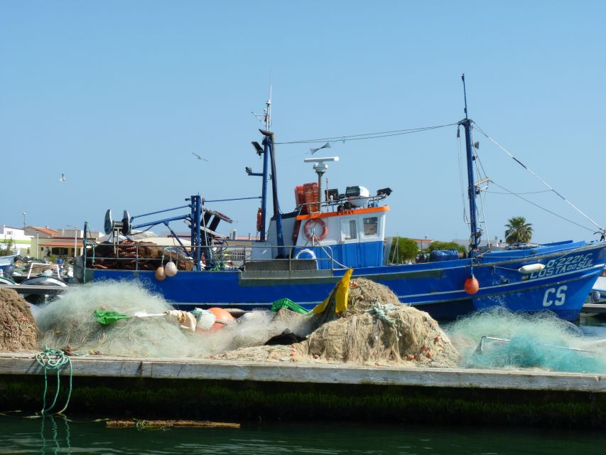 From Faro: 4 Stops, 3 Islands in Ria Formosa Catamaran Tour - Ilha do Farol and Cape of St. Mary: Lighthouse Photos and Algarve-Style Houses