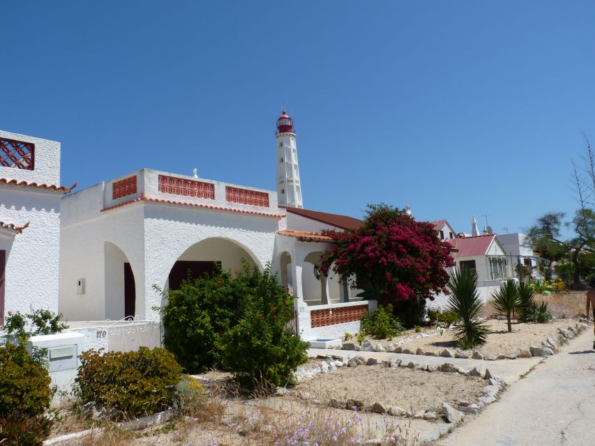 From Faro: 4 Stops, 3 Islands in Ria Formosa Catamaran Tour - Culatra Island: How a Fishing Community Changes the Tone