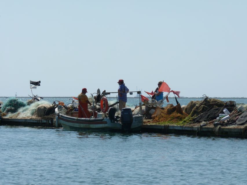 From Faro: 4 Stops, 3 Islands in Ria Formosa Catamaran Tour - Hangares and Oyster Farming: The Connection Between Tides and Table