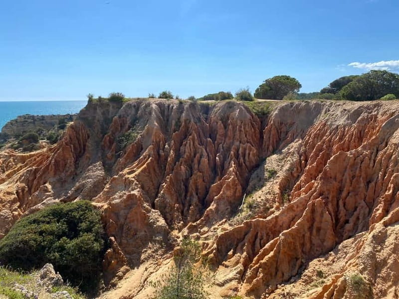 From Faro: Benagil Cave and Seven Hanging Valleys Trail Tour - Guide Energy Matters: Pedro and Rilany Make the Day Feel Personal