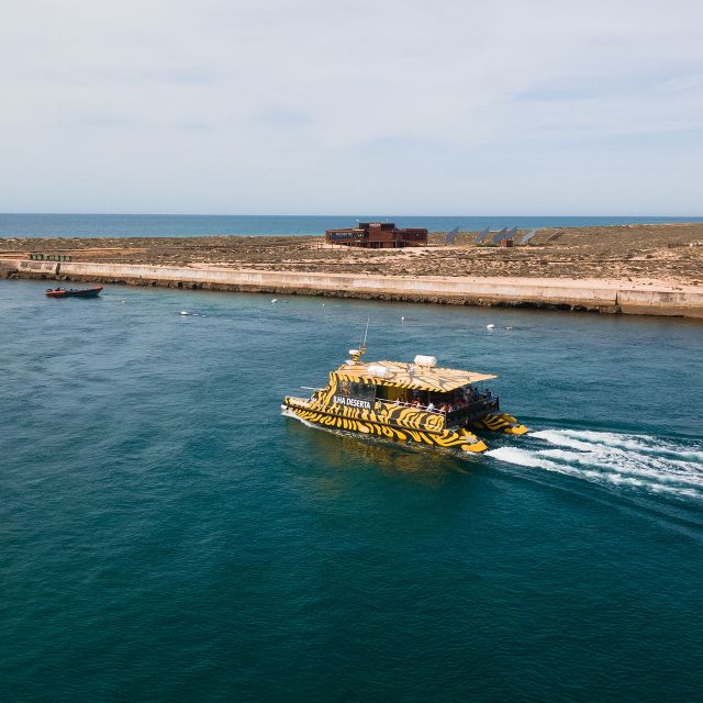 From Faro: Catamaran Boat Trip to Deserta Island with Stop - 45 minutes on the catamaran through the Ria Formosa channels