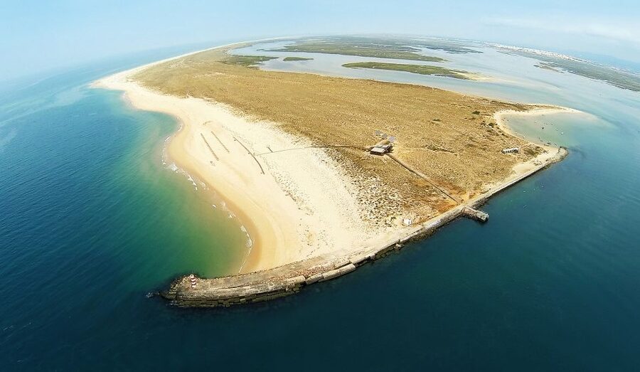 From Faro: Catamaran Boat Trip to Deserta Island with Stop - Estaminé Restaurant on Ilha Deserta, how to turn the island stop into a meal