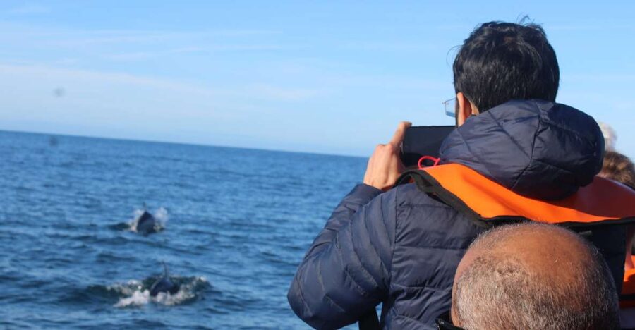 From Faro: Dolphin Watching & 2 Islands Tour - Dolphin Watching From Faro, With Ria Formosa as the Warm-Up