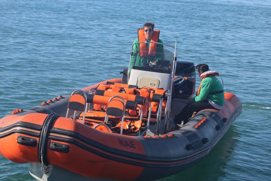 From Faro: Dolphin Watching & 2 Islands Tour - Out on the Atlantic: Finding Dolphins From the Boarding Deck