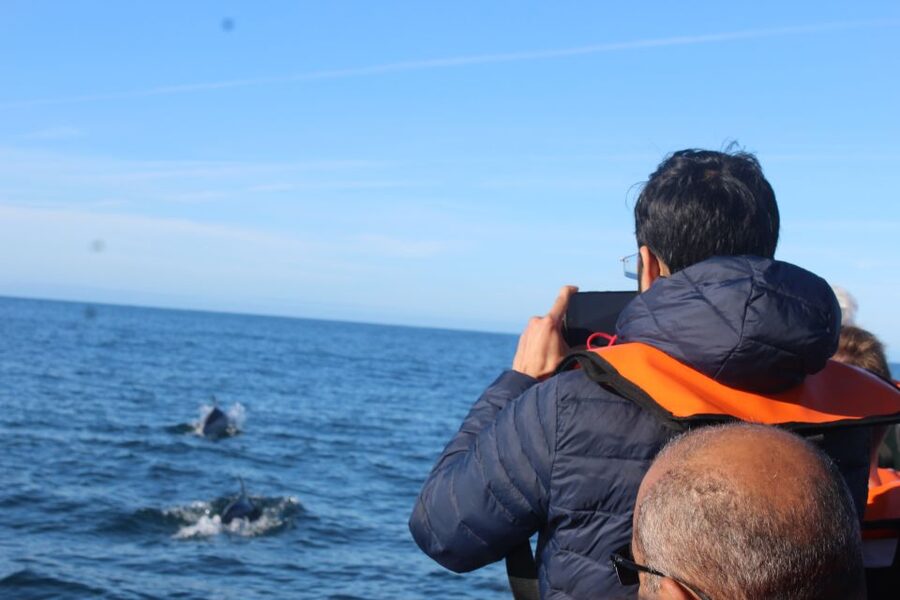 From Faro: Dolphin Watching & 2 Islands Tour - The Tide Effect on Your Return to Faro