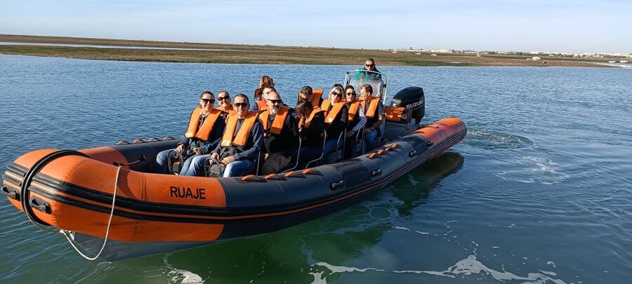 From Faro: Dolphin Watching & 2 Islands Tour - Weather Reality Check: What Wind Can Do to Your Plan