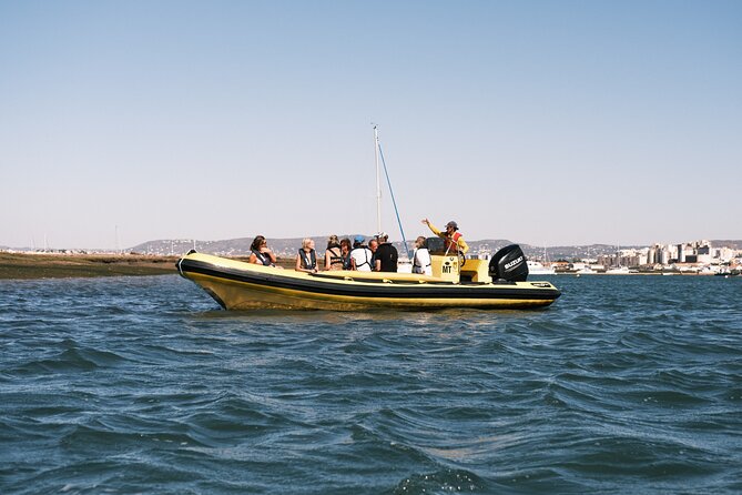 From Faro: Ria Formosa Eco Tour guided by Marine Biologist - Ria Formosa Natural Park with a Marine Biologist guide