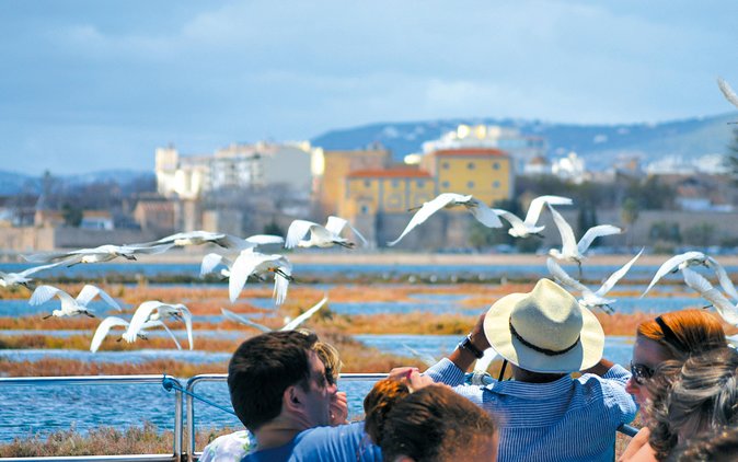 From Faro: Ria Formosa Eco Tour guided by Marine Biologist - Group size and staff style on board Animaris Ilha Deserta