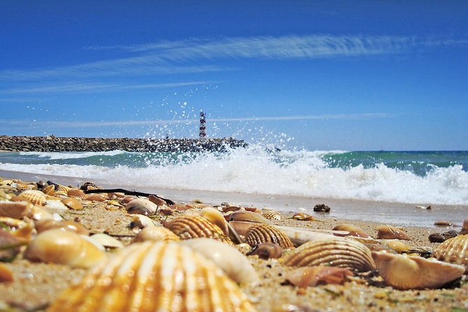 From Faro: Ria Formosa Eco Tour guided by Marine Biologist - Ilha Deserta (Barreta) free time: beaches, walks, and quiet time