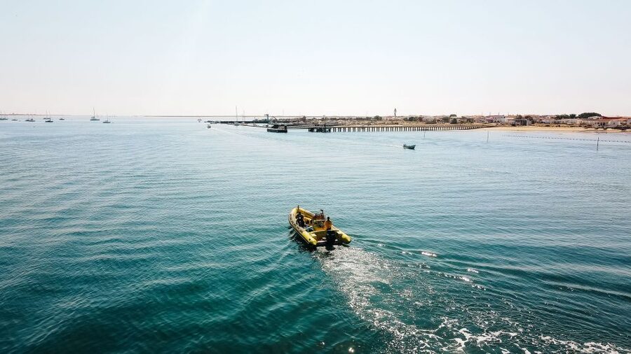 From Faro: Ria Formosa Hop-On Hop-Off 3 Islands Cruise - Key Highlights Worth Planning For