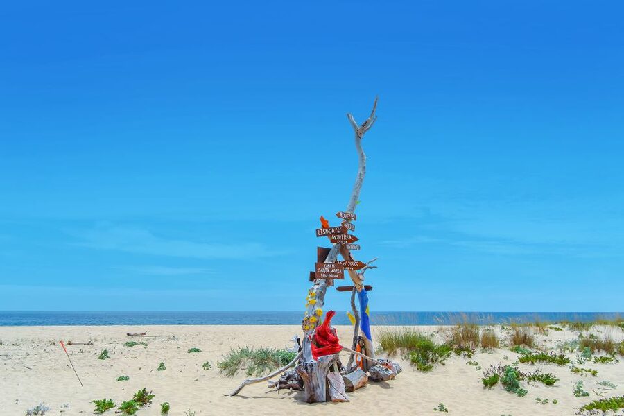 From Faro: Ria Formosa Hop-On Hop-Off 3 Islands Cruise - The Ride Through Barreta: A Pass-By You Should Still Enjoy