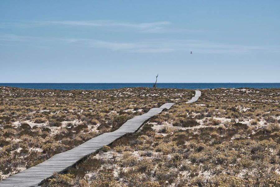 From Faro: Ria Formosa Hop-On Hop-Off 3 Islands Cruise - Ilha do Farol: Lighthouse Views and Sea Wall Strolls