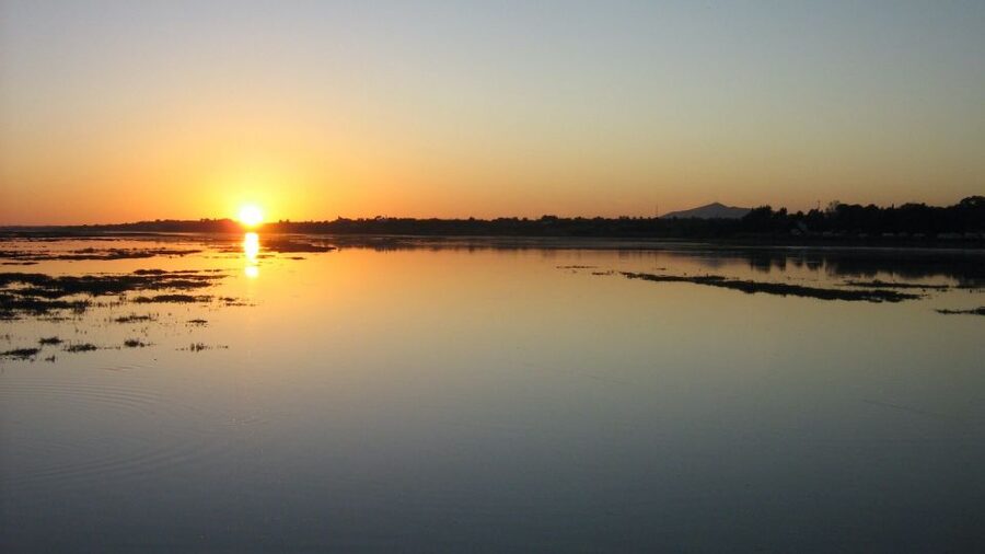 From Faro: Ria Formosa Sunset Boat Trip - Key highlights you’ll actually care about