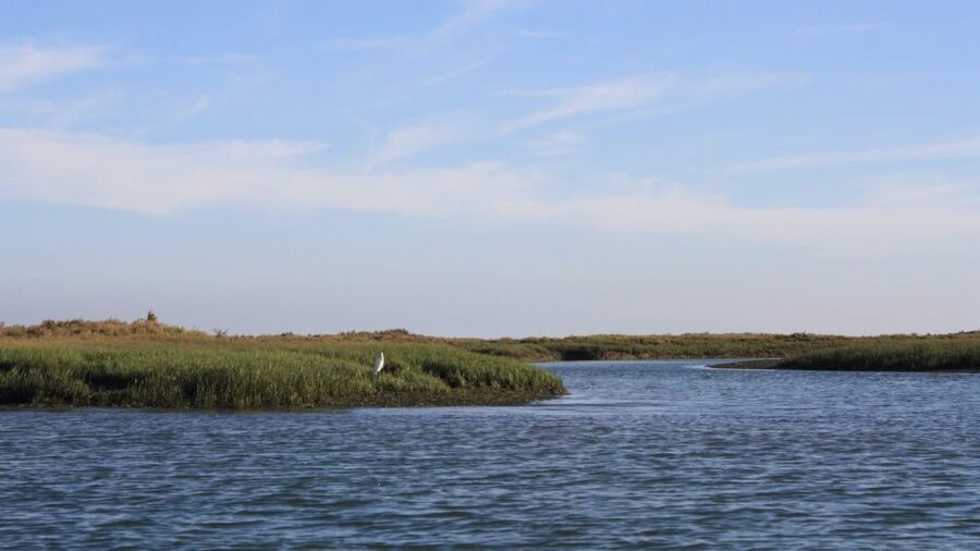 From Faro: Ria Formosa Sunset Boat Trip - Who this Faro sunset boat trip is best for