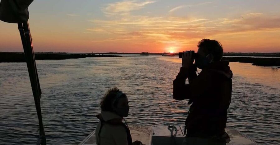 From Faro: Ria Formosa Sunset Boat Trip - Parque Natural da Ria Formosa: what happens during the cruise hour
