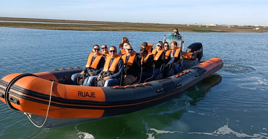 From Faro: Wildlife and Dolphin-Watching Speedboat Tour - Cape Santa Maria: the moment the Atlantic comes into play