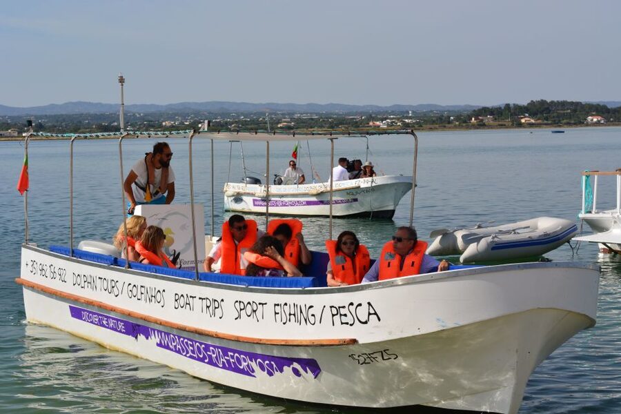 From Fuzeta: 2-Hour Southeast Ria Formosa Boat Trip - Oyster and lamb farm stop: what you learn beyond the shoreline