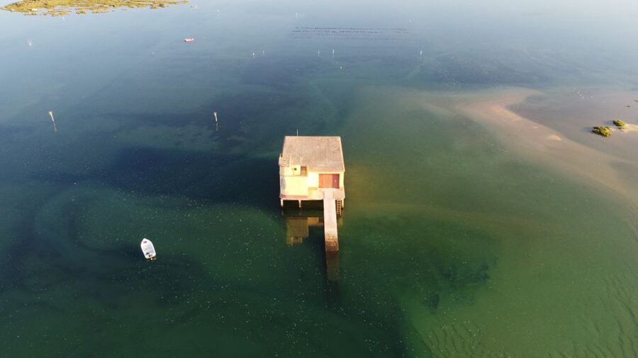From Fuzeta: 2-Hour Southeast Ria Formosa Boat Trip - Price and value at about $29 per person