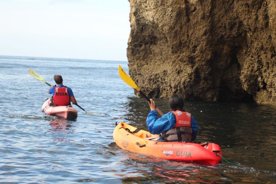 From Lagos: Algarve Coast and Caves by Kayak - Snorkeling in the Algarve: gear included, but bring common sense