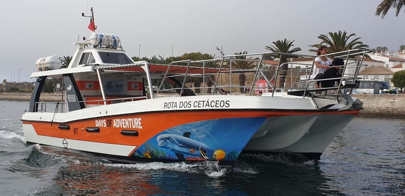 From Lagos: Benagil Caves Catamaran Cruise - Onboard comfort, crew energy, and what the ride feels like