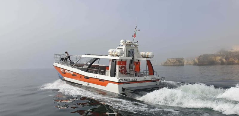 From Lagos: Benagil Caves Catamaran Cruise - Who should book, and who should think twice