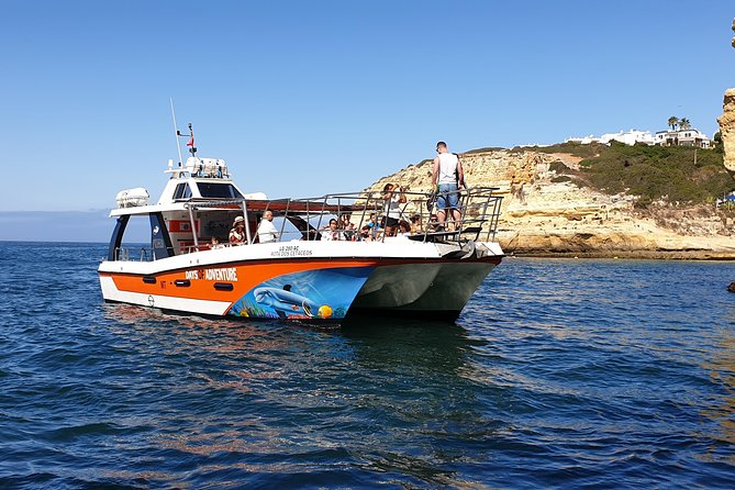 From Lagos: Benagil Caves Cruise on a Catamaran - Dolphins and the “crowd escape” feeling from the sea