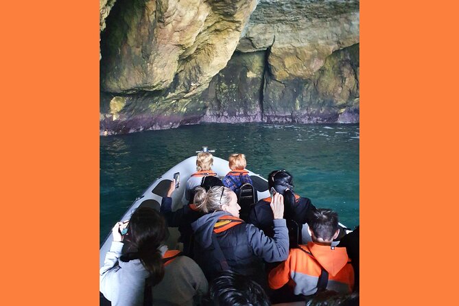 From Lagos: Benagil Caves Tour by Speed Boat with Guide - More Algarve Caves on the Return: Shoreline Views and Wildlife Surprises