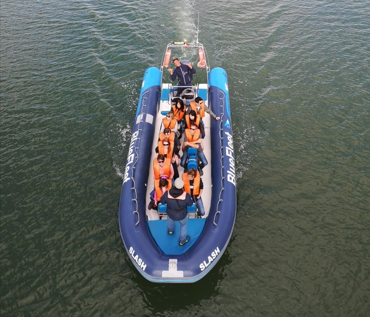 From Lagos: Dolphin Watching Boat Trip w/Marine Biologists - Best time to book in the Algarve