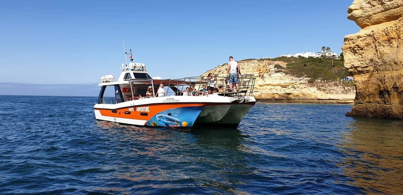 From Lagos: Dolphin Watching Catamaran Cruise - Key highlights you will actually notice
