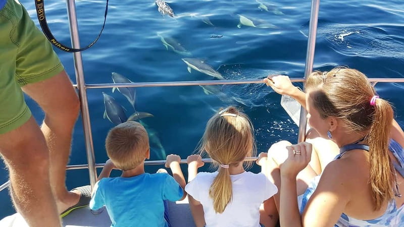 From Lagos: Dolphin Watching Catamaran Cruise - From Lagos Marina to Open Water: the ride starts before you leave