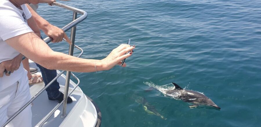 From Lagos: Dolphin Watching Catamaran Cruise - Benagil Sea Cave from the forward platform: the photo moment