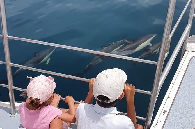 From Lagos: Dolphin Watching Cruise on a Catamaran - Key Takeaways Before You Go
