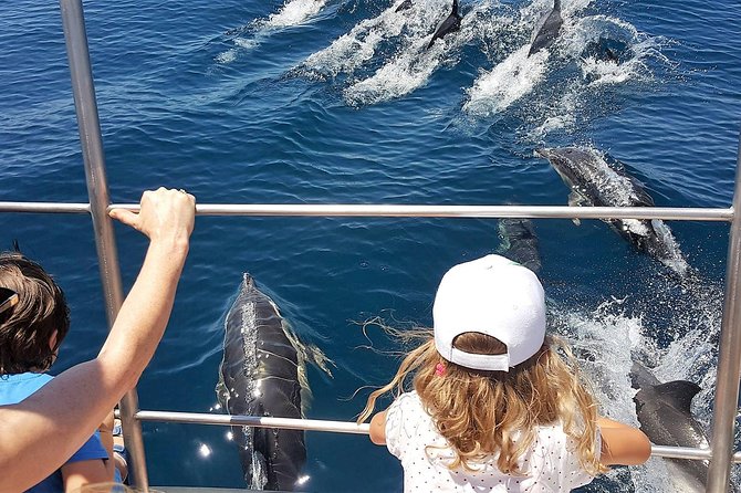 From Lagos: Dolphin Watching Cruise on a Catamaran - Marina de Lagos Check-In: How the Start Really Works