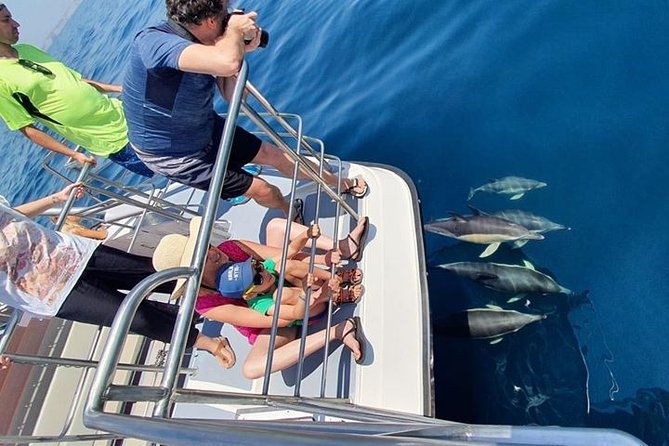 From Lagos: Dolphin Watching Cruise on a Catamaran - When Things Go Wrong: Seas, Crowds, and Short Dolphin Windows