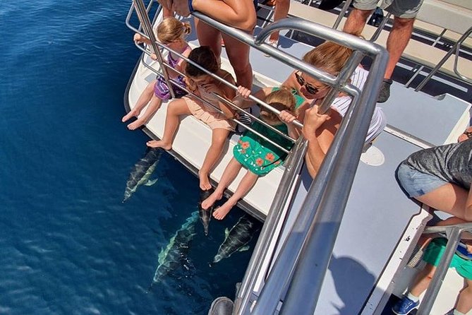 From Lagos: Dolphin Watching Cruise on a Catamaran - Price and Value: Why $48.39 Can Make Sense