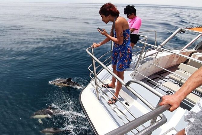 From Lagos: Dolphin Watching Cruise on a Catamaran - Accessibility and Kids: Built for a Broad Range of Visitors