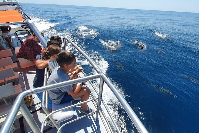 From Lagos: Dolphin Watching Cruise on a Catamaran - What to Bring (So the Trip Feels Easy)