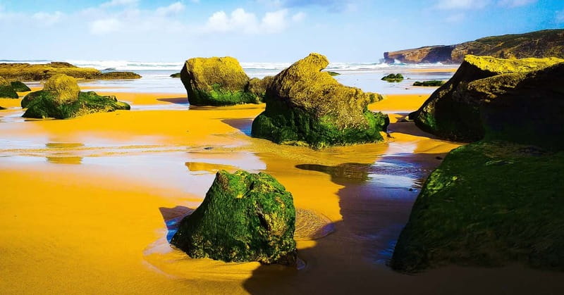 From Lagos: Half-Day West Coast Minivan Tour - Clérigos Montes Beach And The Amoreira River-Sea Meeting