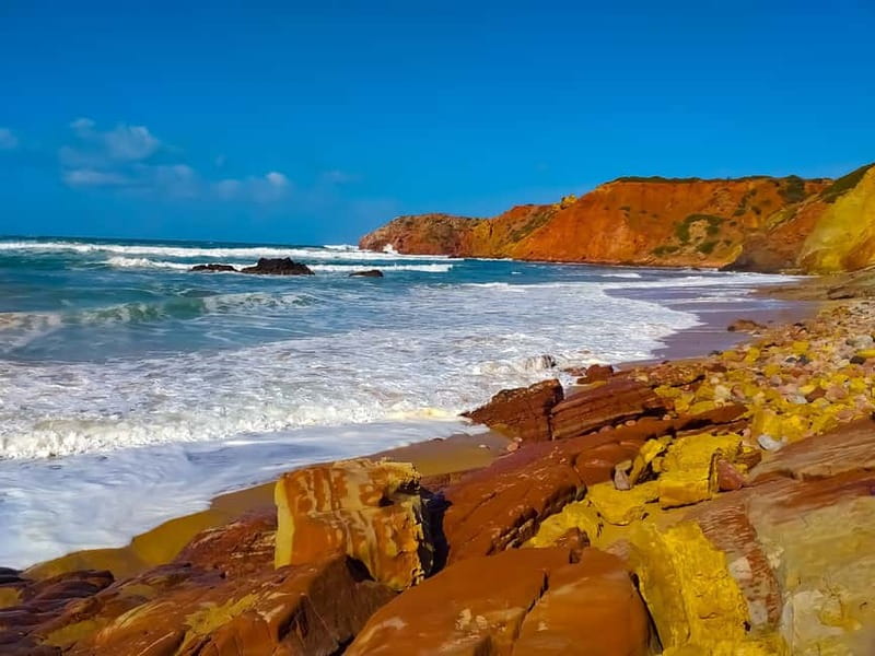From Lagos: Half-Day West Coast Minivan Tour - Carrapateira Beaches, Cliffs, And Untouched-Coast Vibes