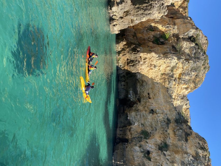 From Lagos: Kayak Experience in Ponta da Piedade - Price and Logistics: Where the Value Really Comes From