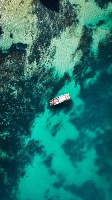 From Lagos: Ponta da Piedade Caves Kayak Tour from Catamaran - Key things to know before you go