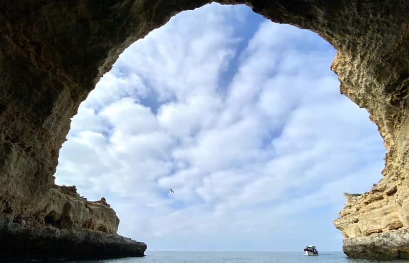 From Lagos: Scenic Cruise to the Benagil and Carvoeiro Caves - Dolphins as an Added Bonus (If Conditions Allow)
